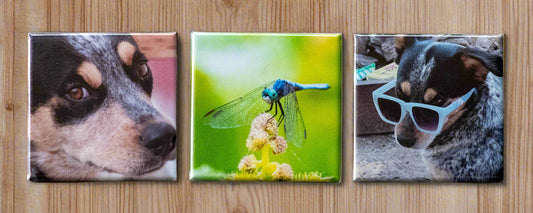 Custom Square 2x2 Photo Magnets set of 3